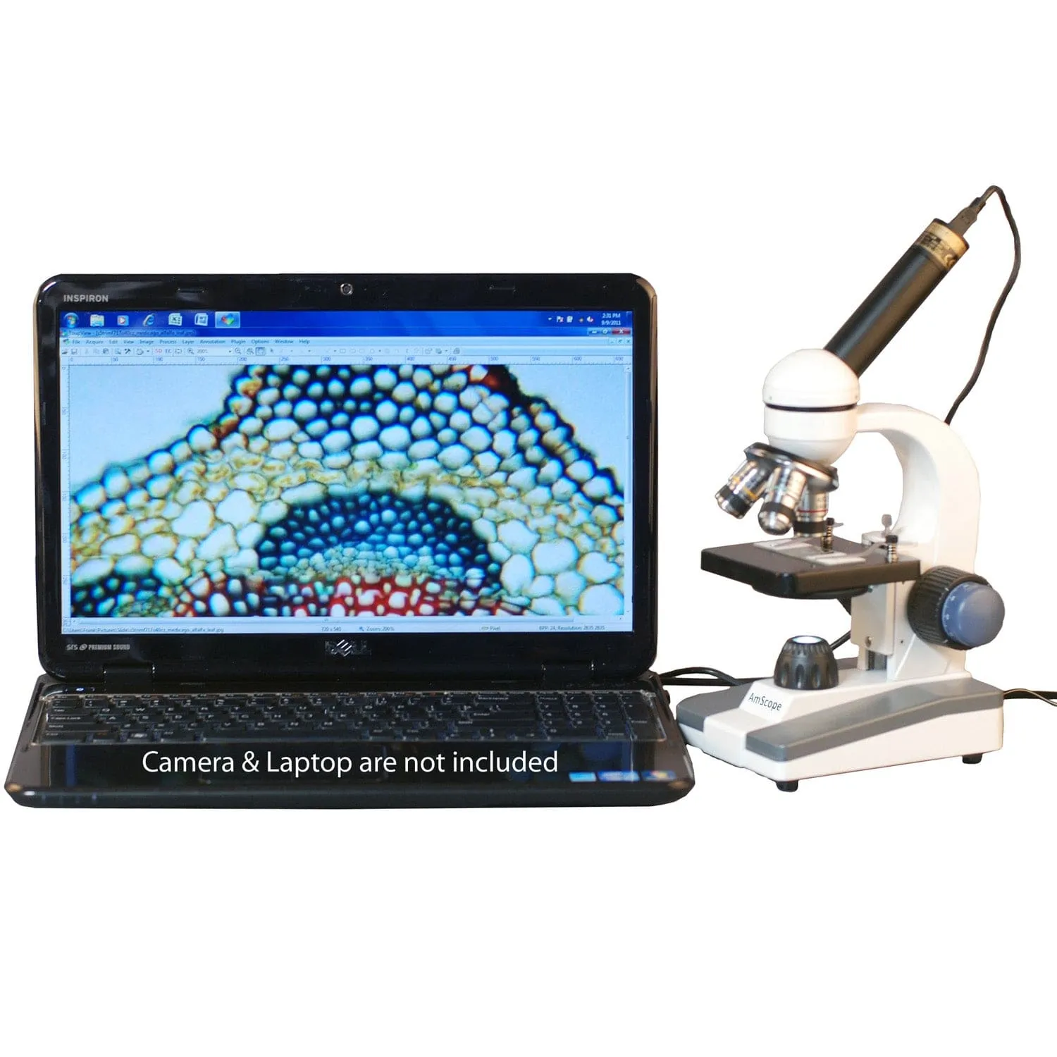 AmScope M150 Series Portable LED Monocular Student Compound Microscope 40X-1000X Magnification