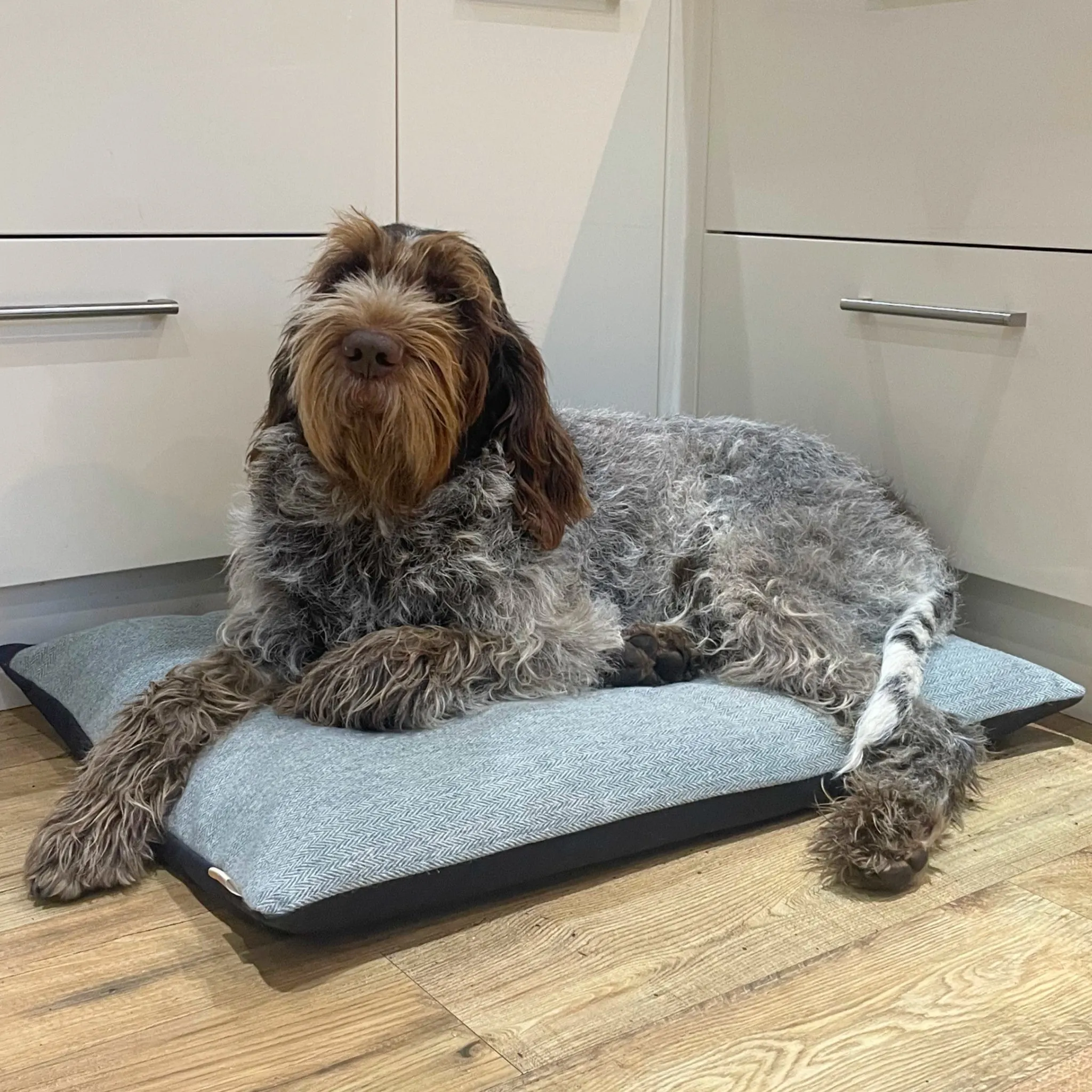 Luxury Dog Cushion Bed in Herringbone Tweed