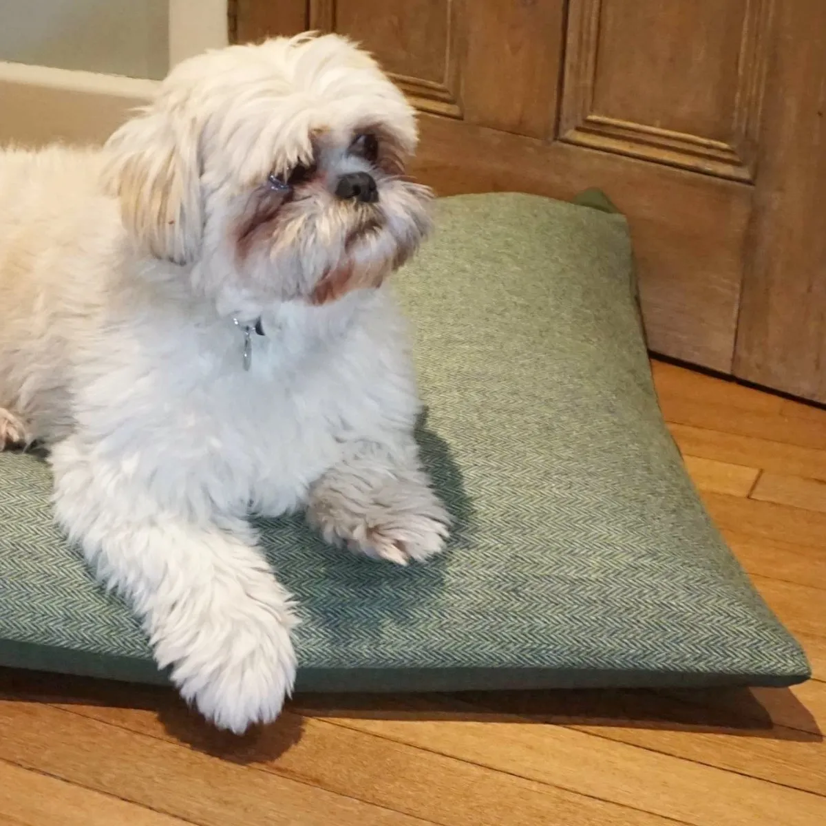 Luxury Dog Cushion Bed in Herringbone Tweed