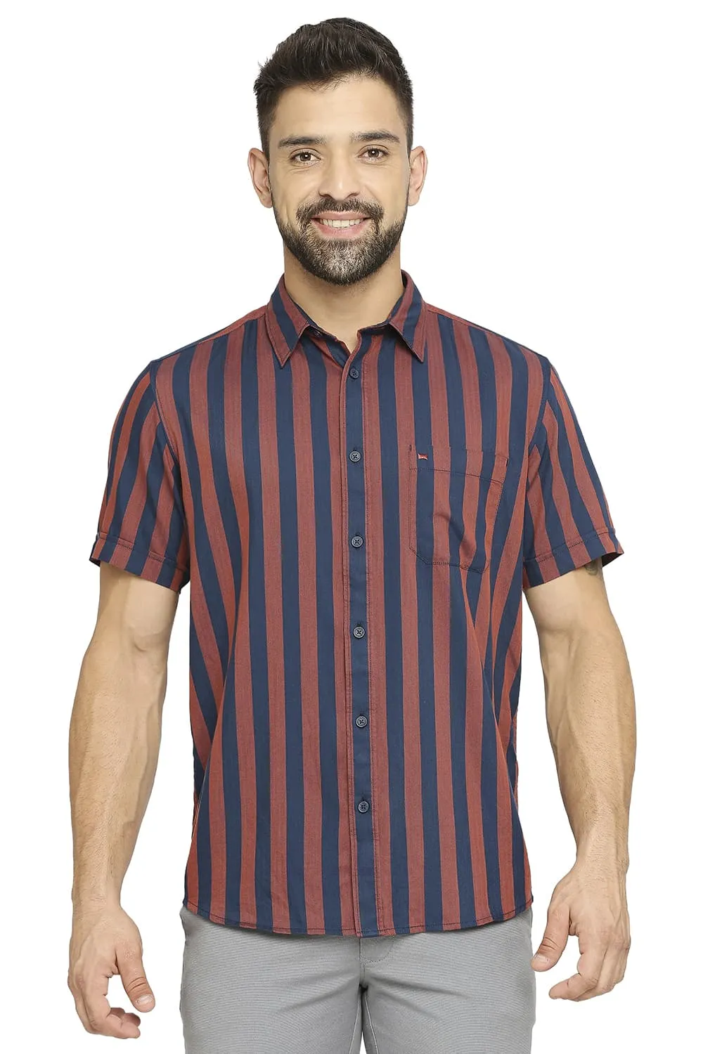 Slim Fit Cotton Polyester Twill Stripe Halfsleeves Shirt